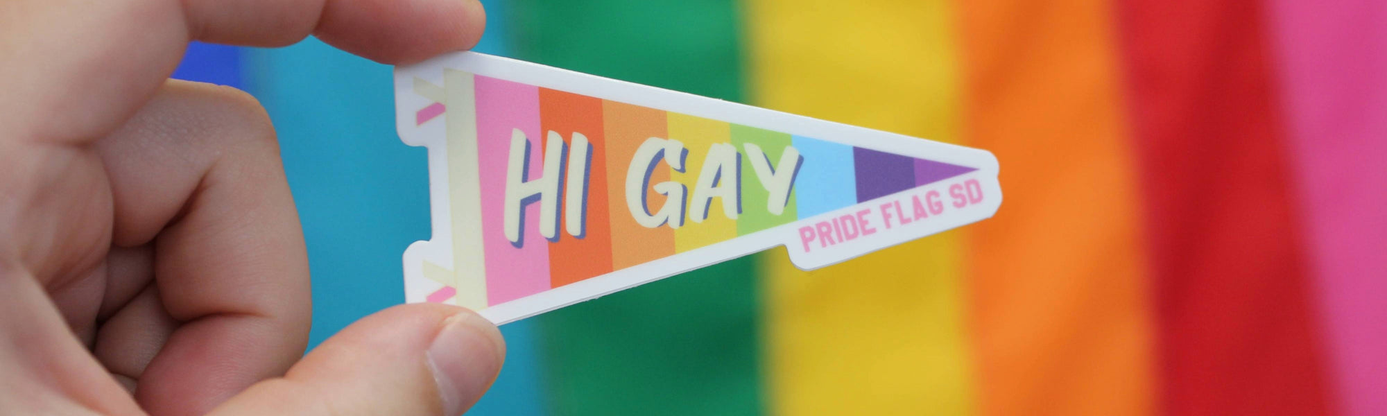 Are you guys gay?