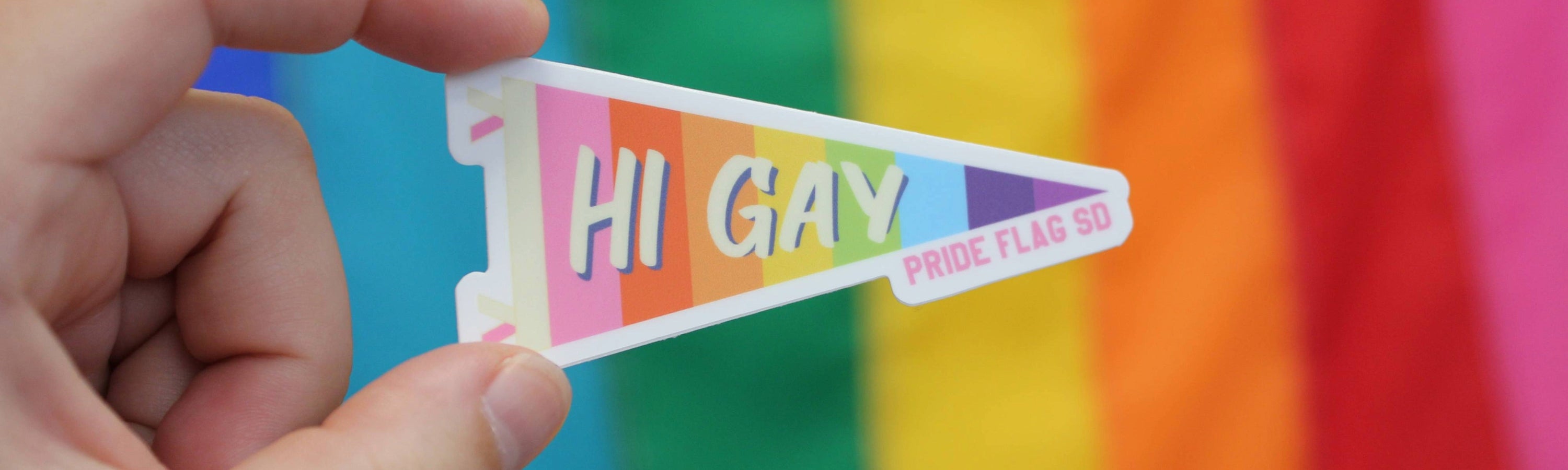 Are you guys gay?