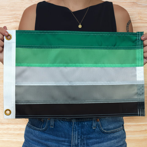 Mini Aromantic Flag
