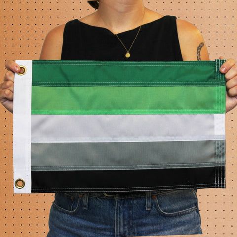 Mini Aromantic Flag