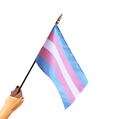 8''x12'' Trans Pride Stick Flag (Set of 5)