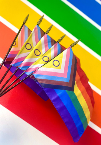 8''x12'' Intersex Inclusive Progress Pride Hand Flag (Set of 5)