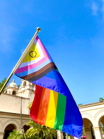 Intersex Inclusive Progress Pride Flag - Digitally Printed 3'x5'