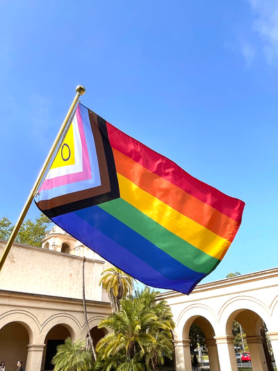 Intersex Inclusive Progress Pride Flag - Digitally Printed 3'x5'