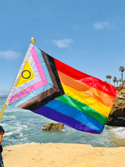 Intersex Progress Pride Flag - Hand Sewn