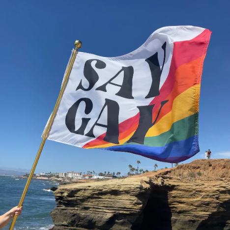 Say Gay Pride Flag - Digitally Printed 3'x5'