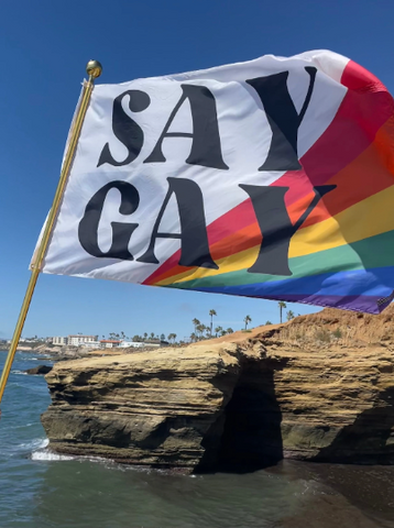 Say Gay Pride Flag - Digitally Printed 3'x5'